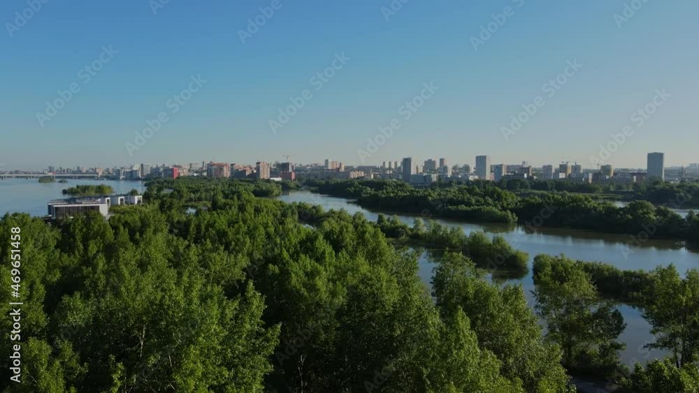 Flight over green trees against the background of the city. Bright blue sky. Trees are in the water Flight over green trees against the background of the city. Bright blue sky. Trees are in the water