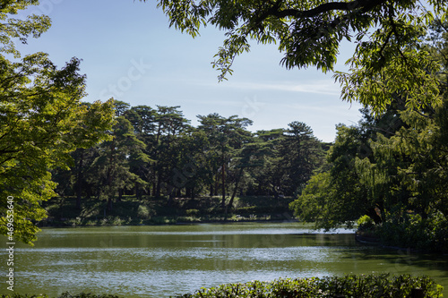 公園と池