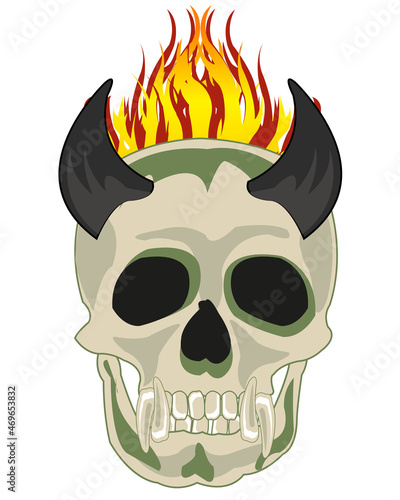 Skull of the crock with horn and fang