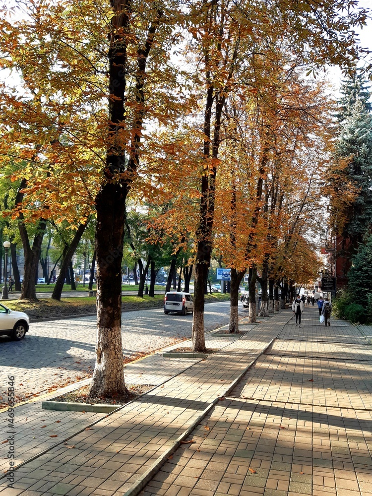 Naklejka premium autumn in the city