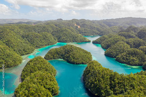 Mangroves forest cove a Sugba lagoon in Siargao, Philippines. Aerial shot taken with drone.