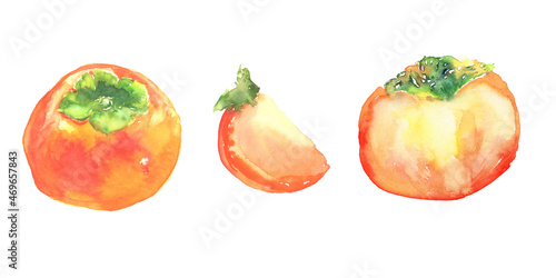 水彩で描いた柿のイラスト