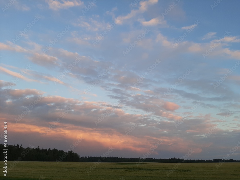 Beautiful summer sunset. Sunset over the field. Beautiful sunset sky. Beautiful clouds in the sky.