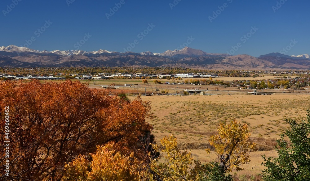 beautiful fall foliage colors on a sunny october day in broomfield, colorado with a spectacular rocky mountain backdrop