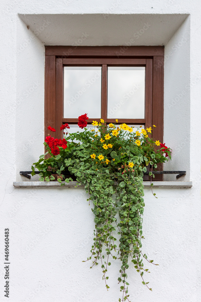 Colorful flowers decorate a window in a mountain house 