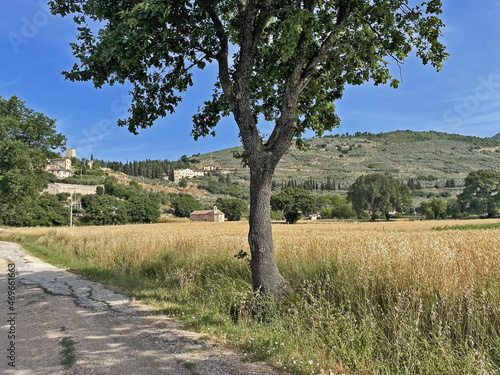 Paesaggio delle colline dell'Umbria a Spello