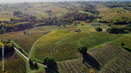 Aerial view Bordeaux Vineyard at sunrise,film by drone in autumn, Entre deux mers, Semens, Verdelais. High quality 4k footage photo