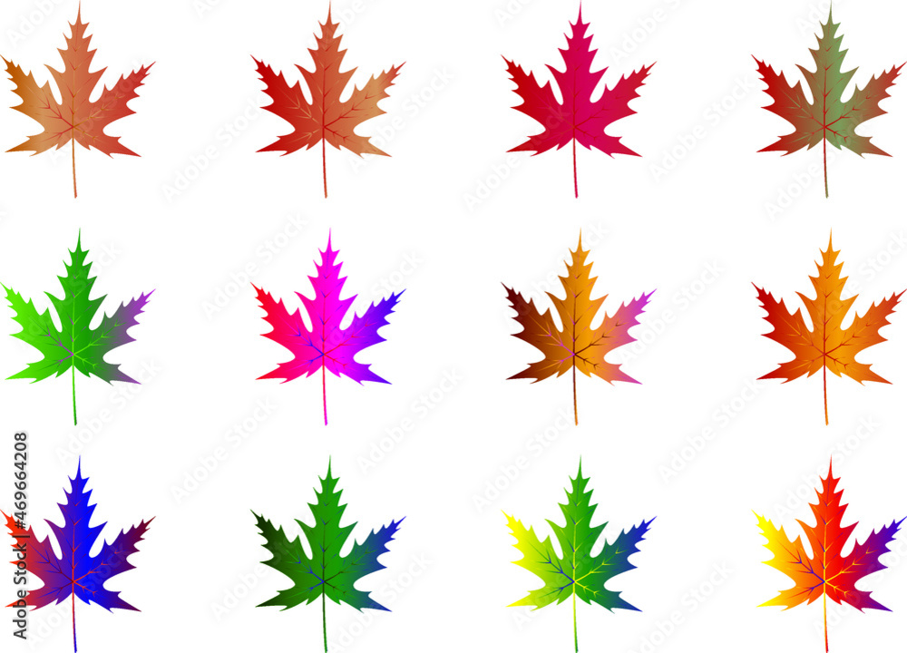 Set maple leaves of unusual gradient color design tree Set maple leaves of unusual gradient color design tree