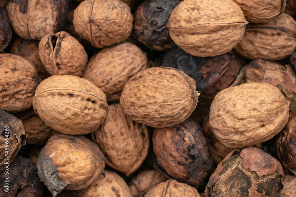 Natural walnut background pattern texture. Abstract walnuts heap pattern background Natural walnut background pattern texture. Abstract walnuts heap pattern background