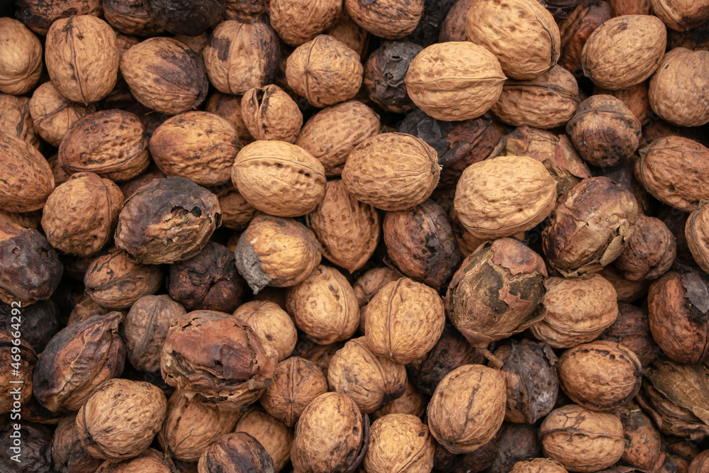 Natural walnut background pattern texture. Abstract walnuts heap pattern background Natural walnut background pattern texture. Abstract walnuts heap pattern background