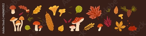 Autumn nature set with forest mushrooms, dry leaves and berries. Cute bundle of fall foliage, fir cones, leaf, food and other autumnal design elements. modern botanical flat vector illustration