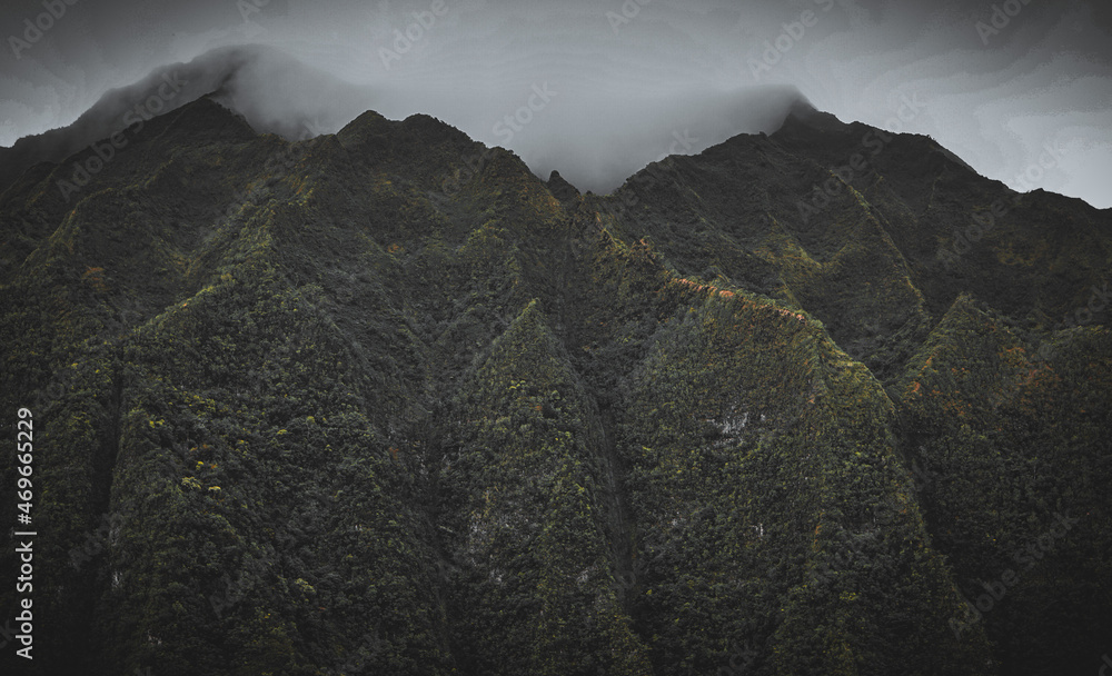 Tropical Mountains with Foggy Skies