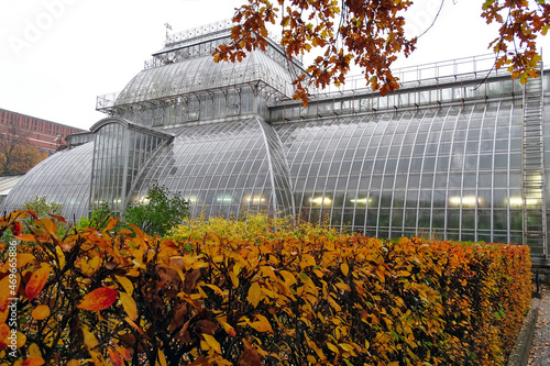 Greenhouse in Botanical Garden at Saint Petersburg, Russia