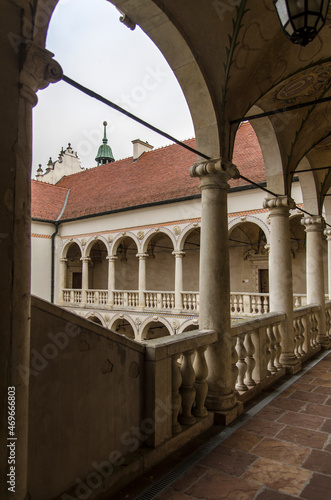 Baranów Sandomierski - zamek  photo