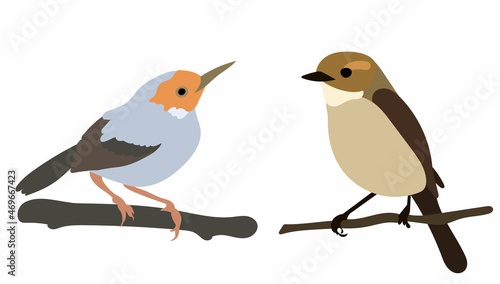 birds on branch in flat style vector, isolated © zolotons