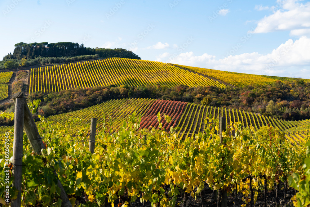 Fototapeta premium Strada sterrata tra le colline e le vigne del chianti in toscana