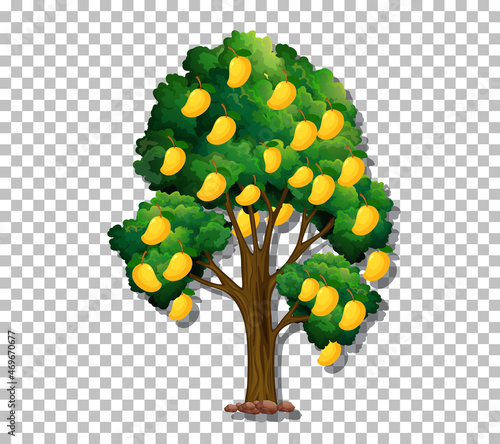 Mango tree on transparent background