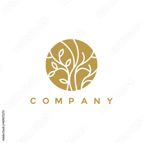 Fototapeta Naklejka Na Ścianę i Meble -  Luxury abstract nature logo vector for your company or business