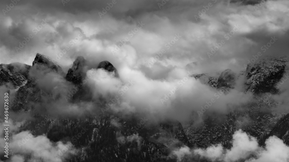 simply bnw simply bnw