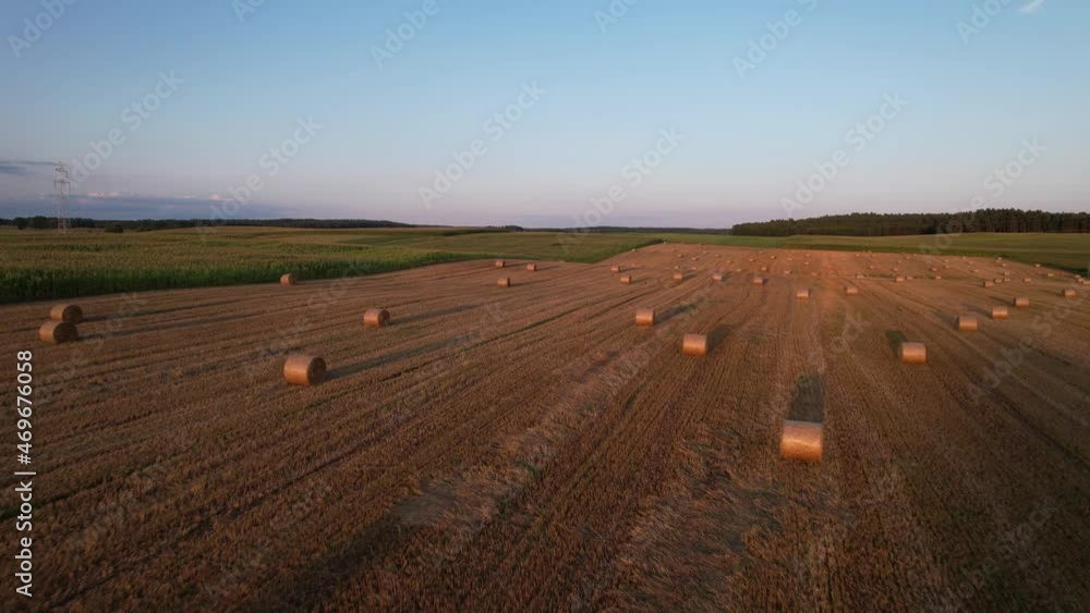 Flying over the fields after harvest and hay bales, next to the corn field. Slow drone flight. Flying over the fields after harvest and hay bales, next to the corn field. Slow drone flight.