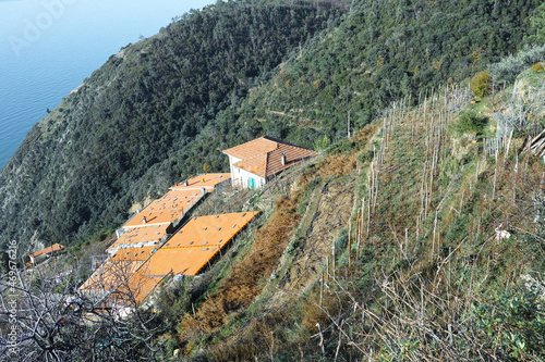 typical ligurian house in la spezia photo