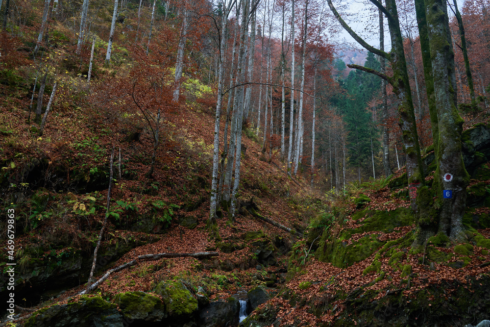 Obraz premium Hiking trail in the mountains, autumn time