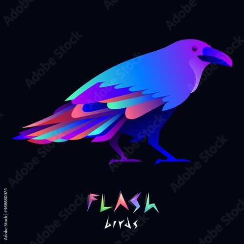 Flash raven illustration