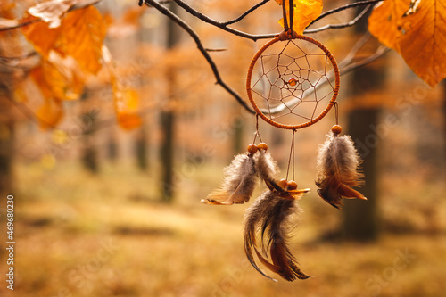 Fotografía Dreamcatcher hanging on branch in autumn forest