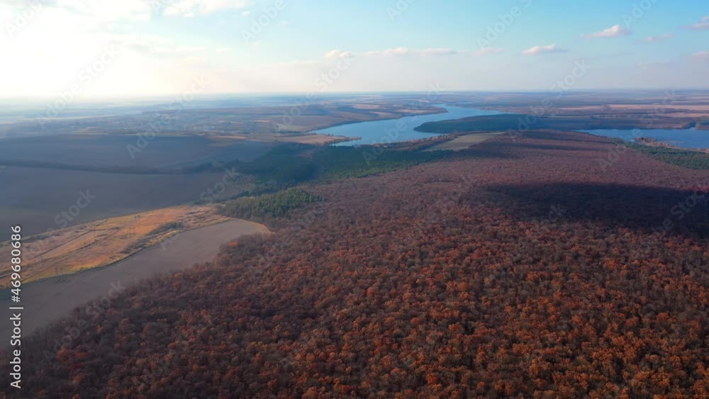Drone view of tree forest and lake. Aerial view of autumn season landscapes.