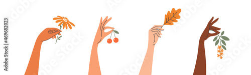 Set of diversity women hands holding different nature art. Various nationalities people with spring flower, blossom plant branch, autumn leaf, summer cherry. Female hand. Floral vector illustration