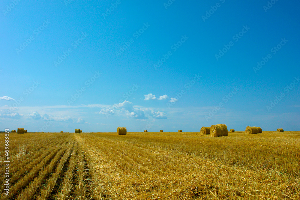 Straw cylinders on the field.