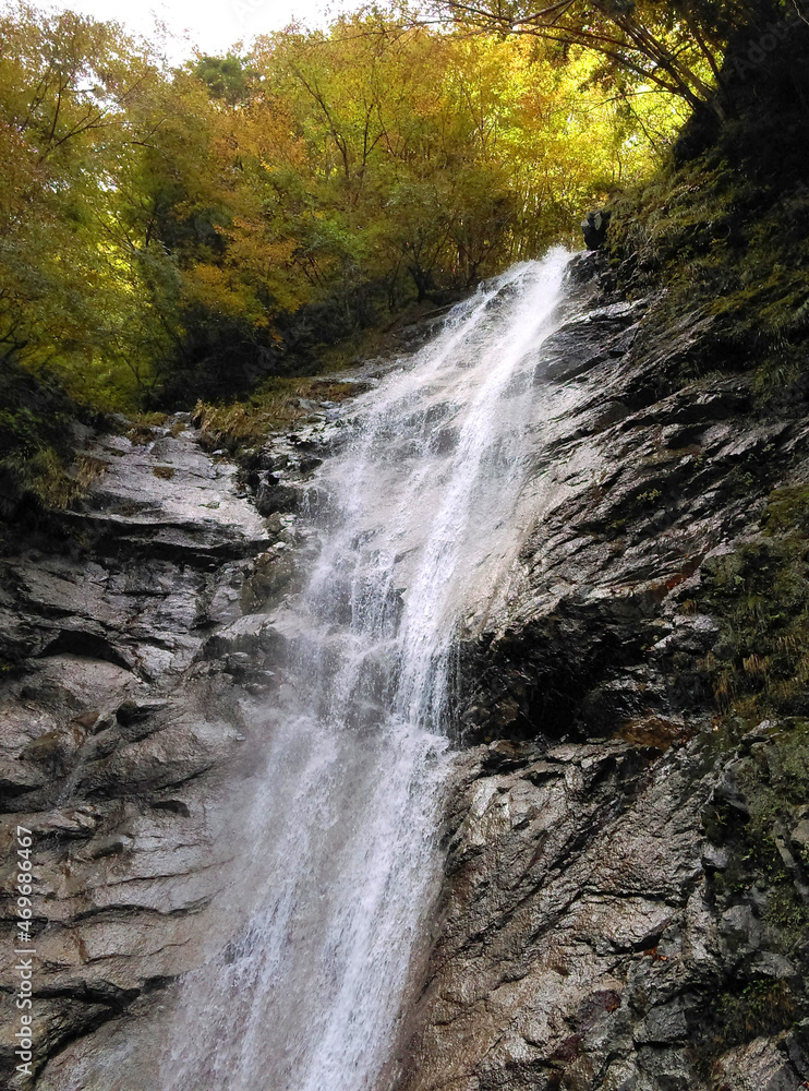 Obraz premium beautiful nature scenery in Japan