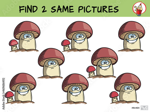 Mushrooms. Find two same pictures