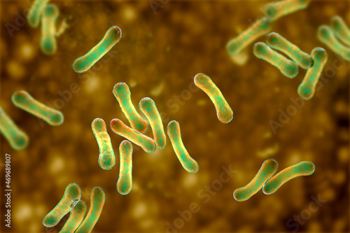 Corynebacterium bacteria, Gram-positive rod-shaped bacterium that causes diphtheria photo