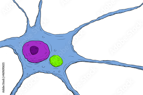 Neuron in rabies disease photo