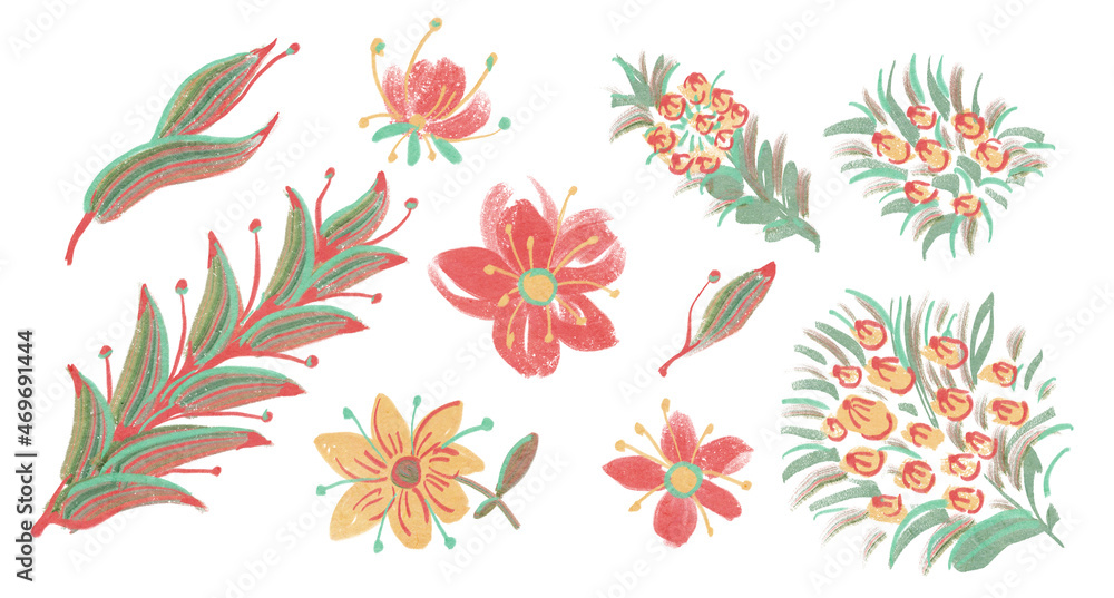 Flowers isolated on a white background Flowers isolated on a white background