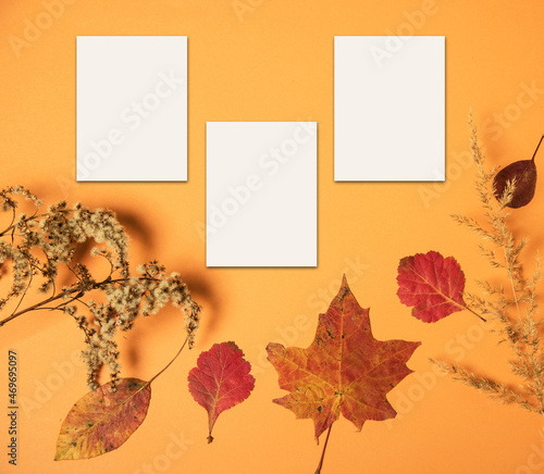 Three sheets for notes on an autumn orange background with autumn leaves. Background for copy space
