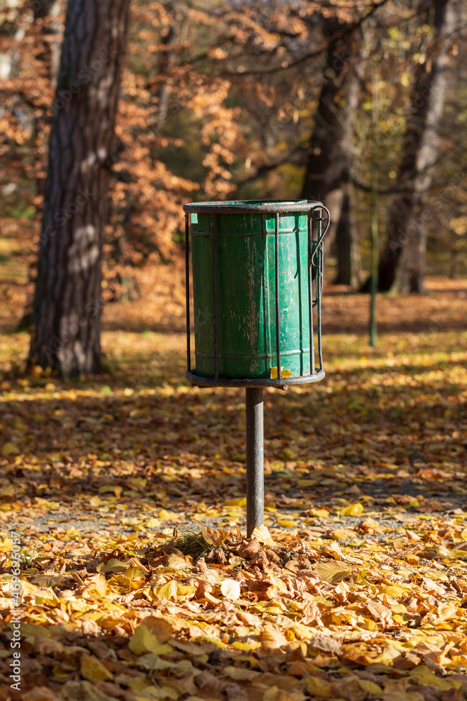 Green trash can in the autumn forest park. Sunlit park. There are fallen leaves on the ground. Green trash can in the autumn forest park. Sunlit park. There are fallen leaves on the ground.