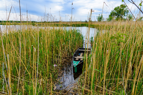 Old boat moored in the thicket of reeds