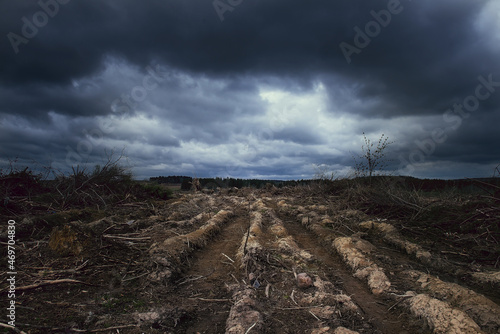 Foto Deforestation
