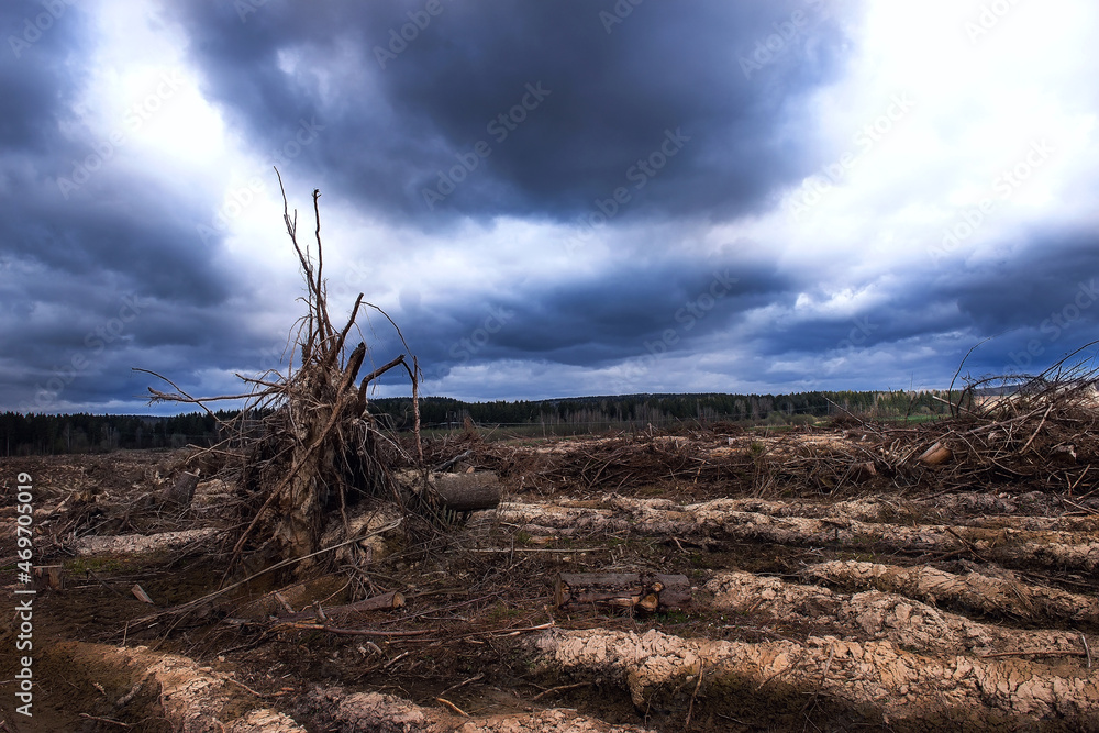 The climate is changing, the planet Earth is suffering from human activity. Factories violate the environment. Man brings explosions and deforestation into nature. black clouds gather over a person