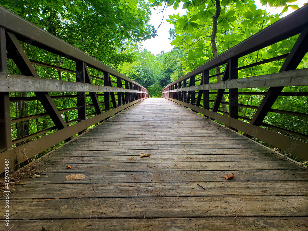 Wooden boardwalk in the forest over pools of water Wooden boardwalk in the forest over pools of water