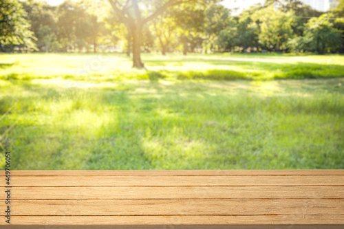 Nature product backdrop  green backyard