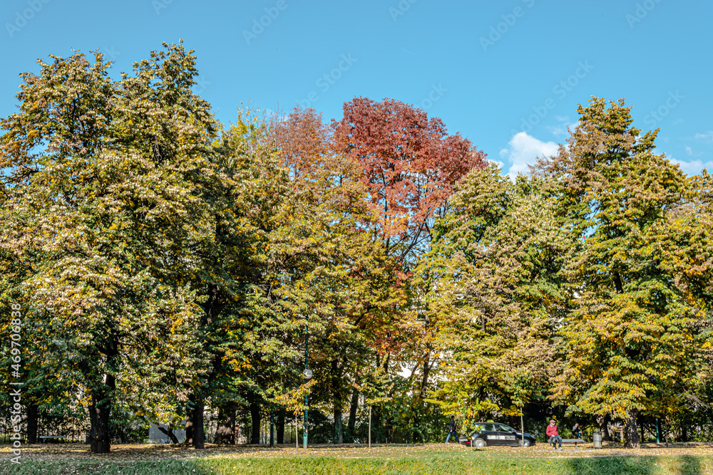 Naklejka premium Autumn on Vilson's Promenade