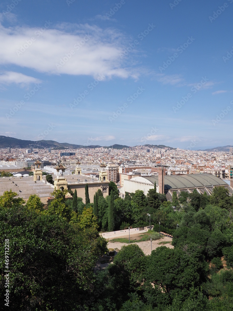 Scenic european city of Barcelona in Spain - vertical
