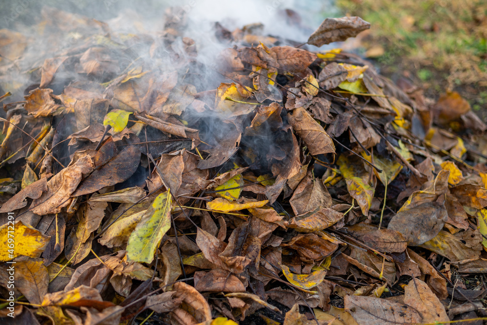 A large pile of burning leaves and smoke. Smoke coming out of a leaf pile
