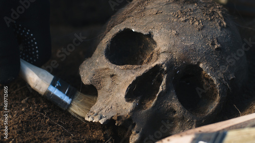 Crop archaeologist digging out human skull