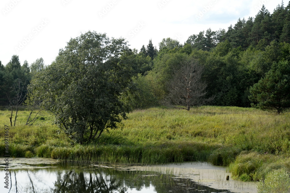 A place for rest and open-air by the famous Russian artist Konstantin Korovin near the village of Okhotino in the Yaroslavl region