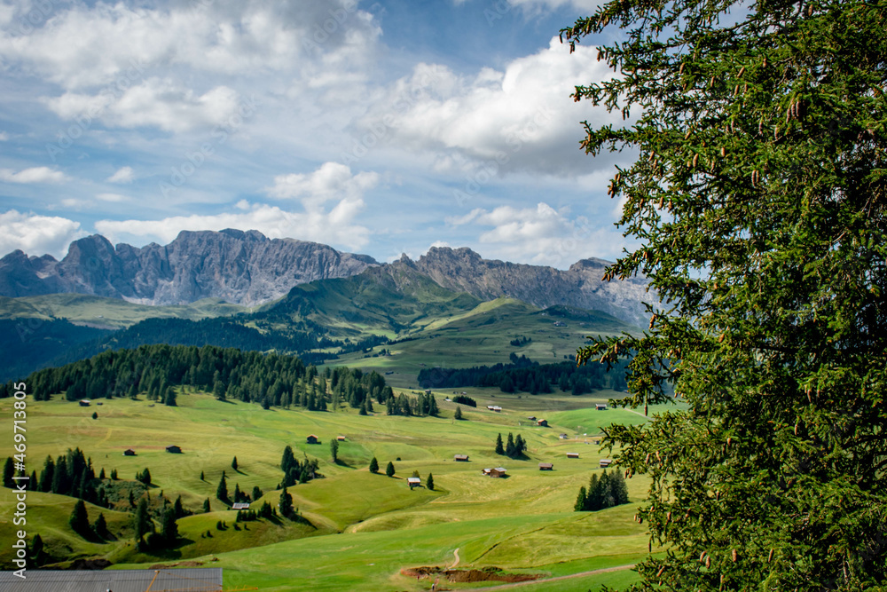 Dolomites, Italy, August 2017, view of the green valley against the background of mountains and blue sky, tree in the foreground