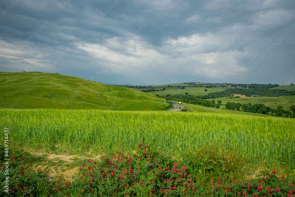 Tuscany, italy, may 2018, green hills, road in the distance and red flowers in the foreground Tuscany, italy, may 2018, green hills, road in the distance and red flowers in the foreground